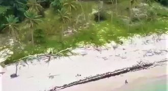 Terreno con playa en venta en Samaná República Dominicana