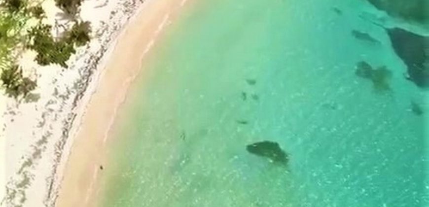 Terreno con playa en venta en Samaná República Dominicana
