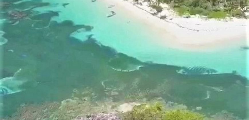Terreno con playa en venta en Samaná República Dominicana