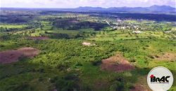 Terreno en Venta La Ceiba Macao