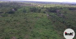 Terreno en Venta La Ceiba Macao