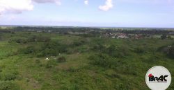 Terreno en Venta La Ceiba Macao