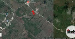 Terreno en Venta La Ceiba Macao