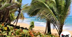 Terreno con Playa La Vacama