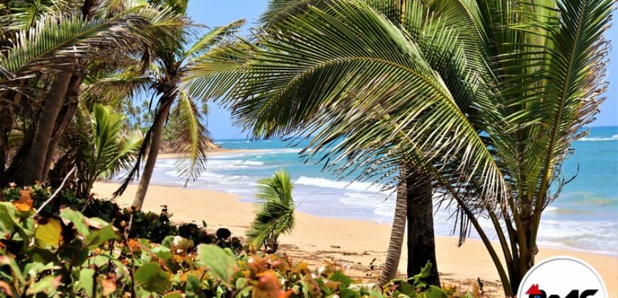 Terreno con Playa La Vacama