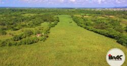 Colonia de Caña de azúcar en VENTA
