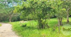 Se VENDE Hoyo Claro Cap Cana