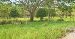Se VENDE Hoyo Claro Cap Cana