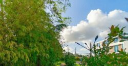 Apartamentos en Las Colinas Town House